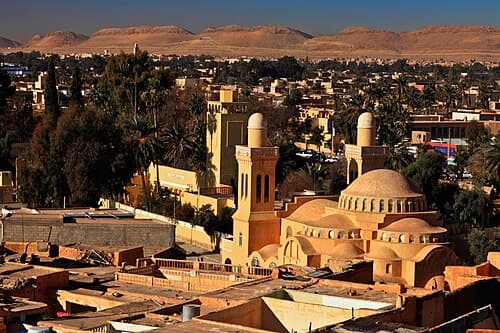 Domes and palm trees over the rooftops of Laghouat, with desert hills behind